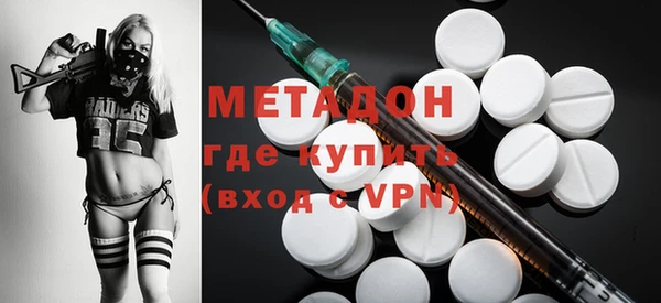 прущие грибы Аркадак