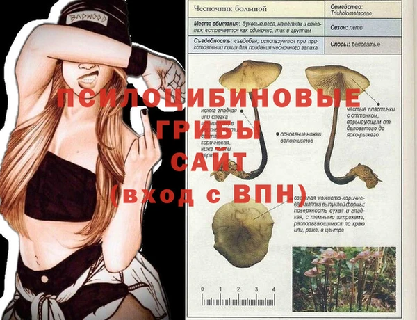 MESCALINE Алзамай