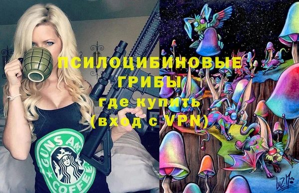 бошки Алексеевка