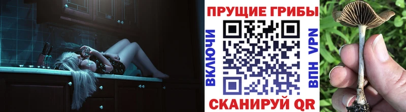 Галлюциногенные грибы MAGIC MUSHROOMS Волгоград